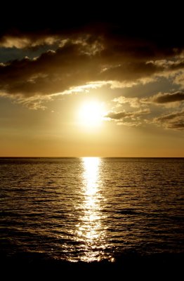 IMG_2912a.jpg