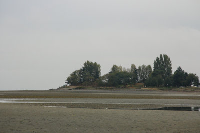 Parksville Beach at low tide