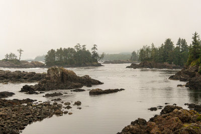 Wild Pacific Trail