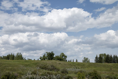 Archetypal Alberta summer sky