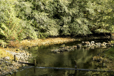 Thornton Creek, Ucluelet