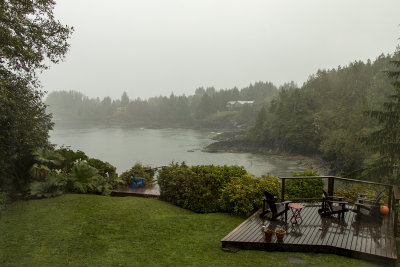 A rainy morning at Duffin Cove