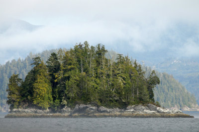 Island Along Alberni Inlet