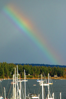 Rainbow over Protection Island