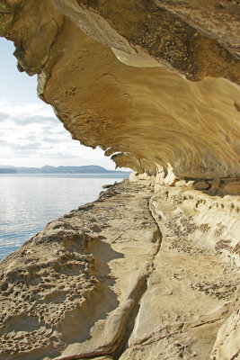 Malaspina Galleries