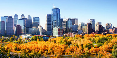 Urban forest - Downtown Calgary