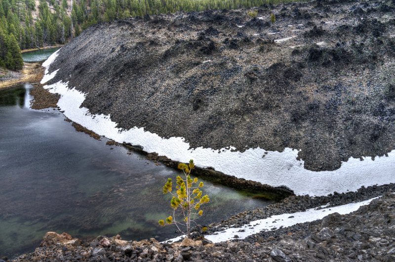 Lava rocks and creek
