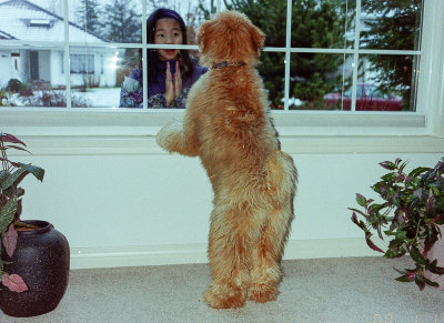 Misty greeting Genie at the window