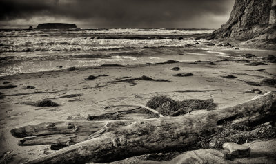 Sea Stack and Drift Wood