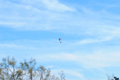 DSC_7325.jpg