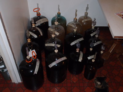 secondary fermentation in the kitchen