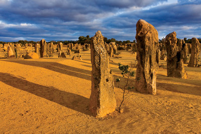 Pinnacles Dessert