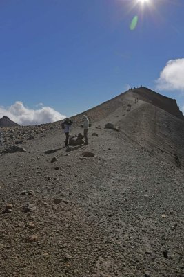 IMG_2390.jpg