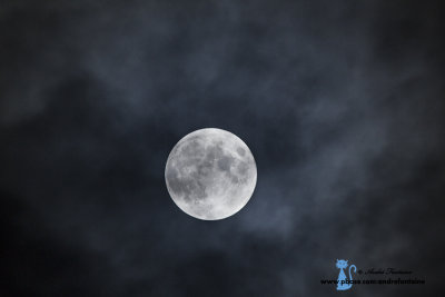 Plein Lune IMG_3644-900.jpg