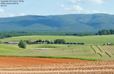 37Q by the fields and mountains at Stuarts Draft.jpg