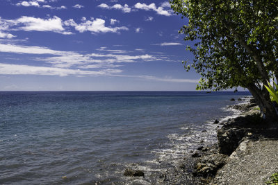 Caimeo Beach, Liquisa