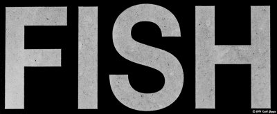 Sign.jpg