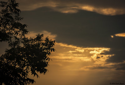 Sunset.jpg