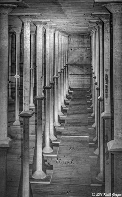 Reflections BW.jpg