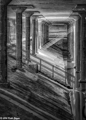 Sunbeam 2_BW_crop.jpg