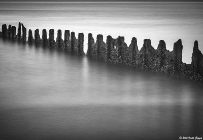 2016 Houston Photographic Society Portfolio