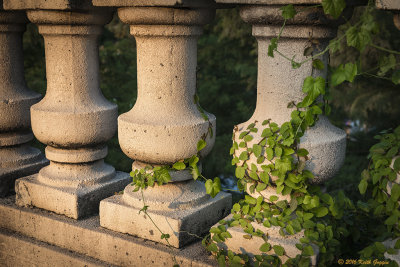 Columns 1.jpg