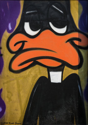 Duck.jpg