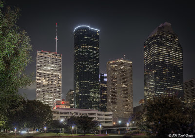 Skyline with light painted bush.jpg