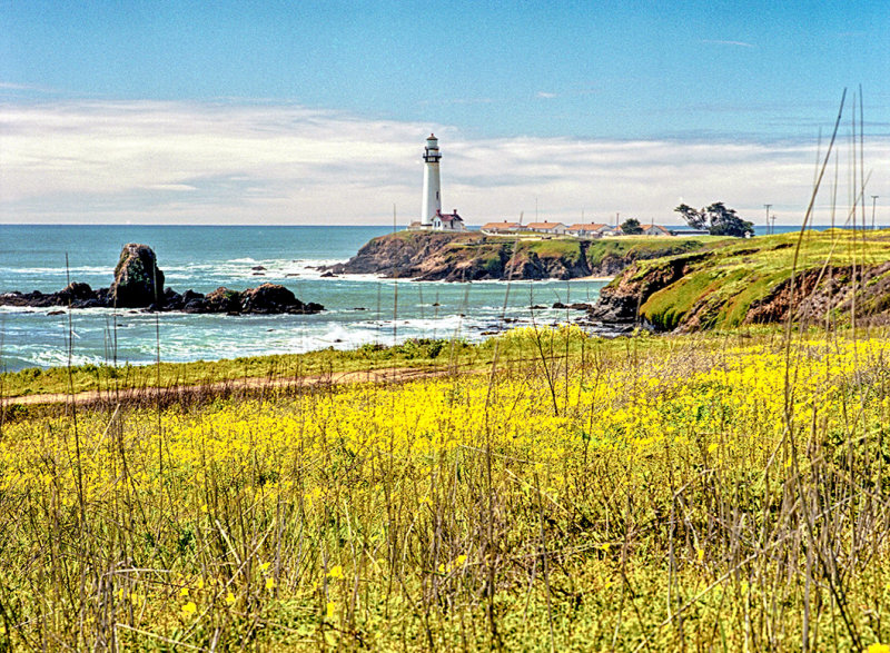 Pigeon Point Light