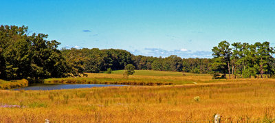 Meadow in Lawrence County