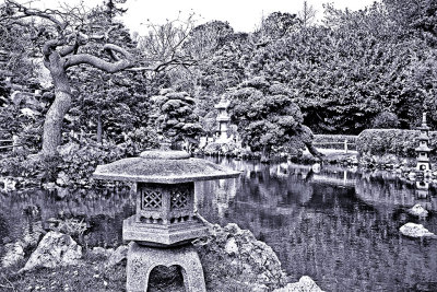 Garden, Golden Gate Park