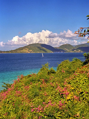 Tortola