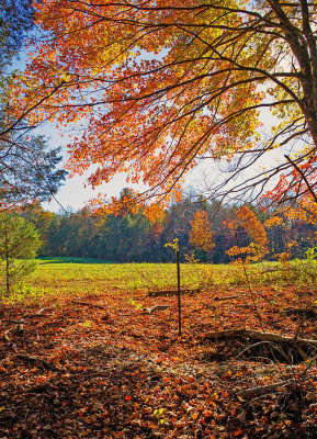 An Afternoon in Autumn