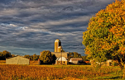 Working Farm