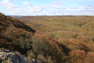 View in spring time
