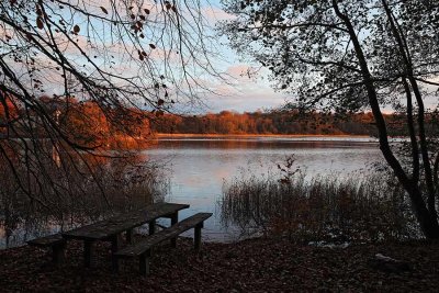 Autumn glow at Gyllebosjn