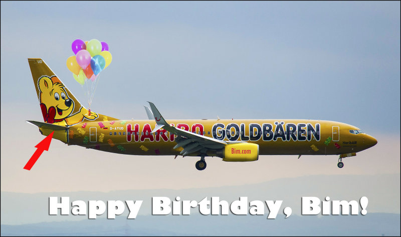 bim bday 2014 copy.jpg