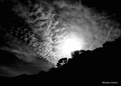 solar eclipse sausalito october2014 .jpg