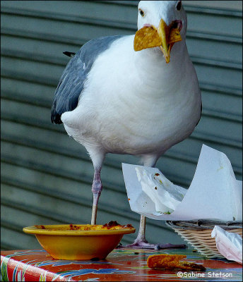 worker with wings.jpg