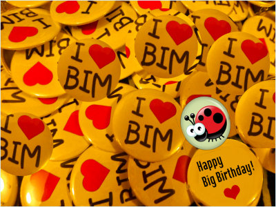 bim bdy 2015.jpg