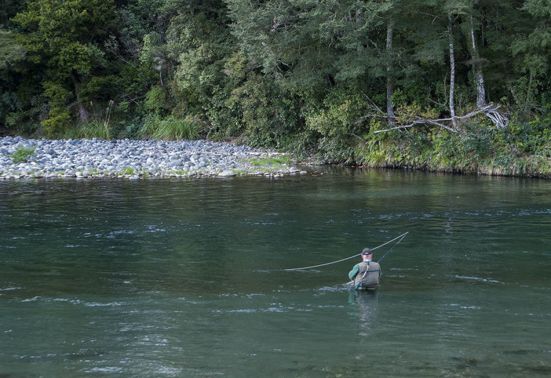 12 August 2013 - A lone angler tries his luck in the Tongariro River
