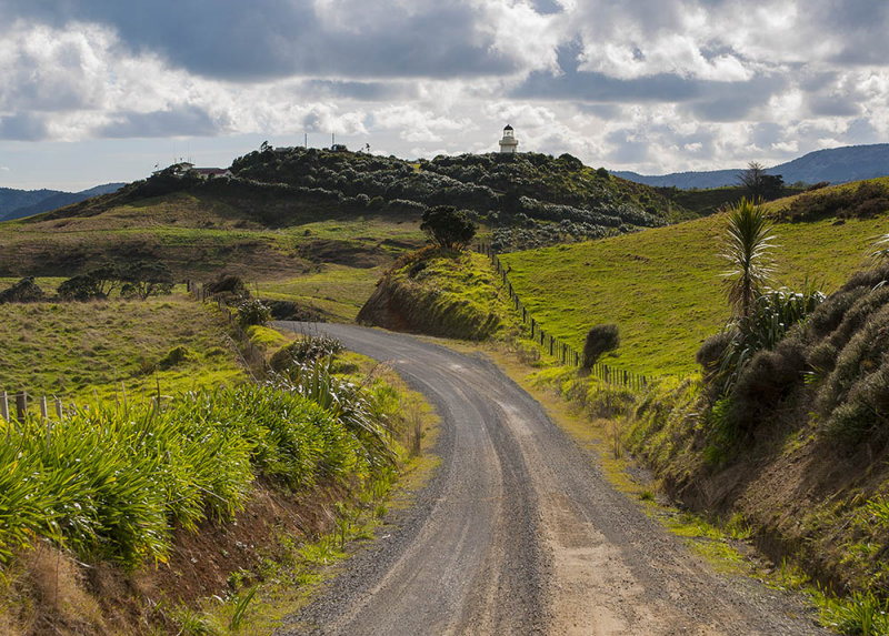 Road to Awhitu LightHouse