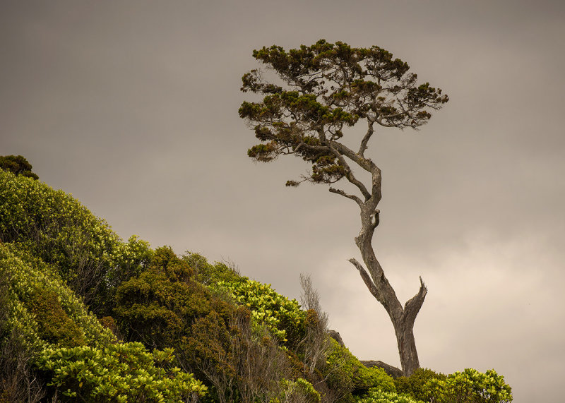 15 December 2013 - Catlans Coast