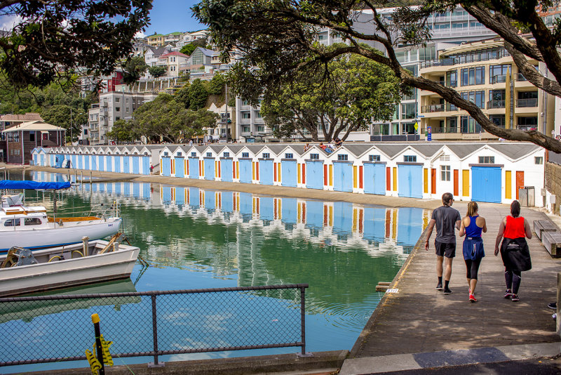 Boat Sheds at Port Nicholson, Oriental Bay, Wellington