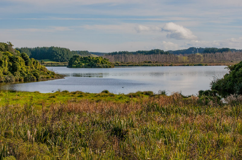 mcbDSC8274-1400.jpg - Lake Papaitonga