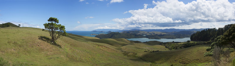 Panoramas Around Wellington