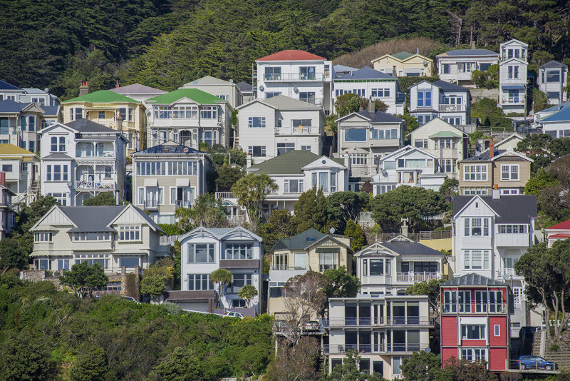 The houses of Mt Victoria above Oriental Bay