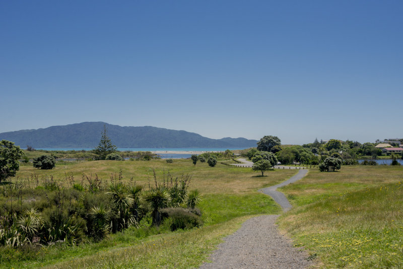 looking down to Waikanae Beach from Queens Rd