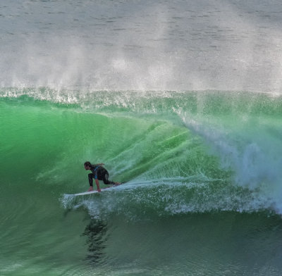 at Muriwai, - not Wellington