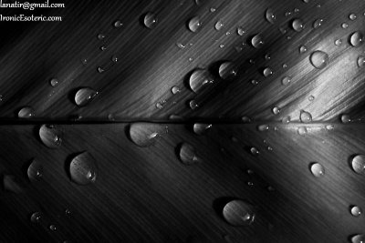 With 60mm